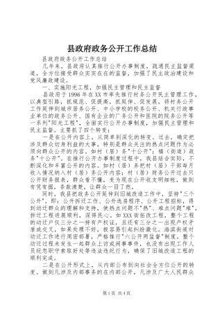 县政府政务公开工作总结