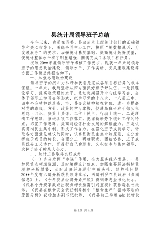 县统计局领导班子总结