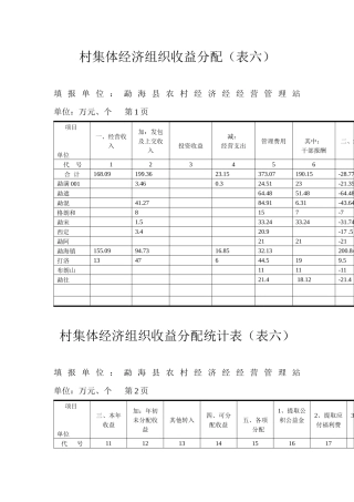 村集体经济组织收益分配(表六)