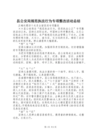 县公安局规范执法行为专项整改活动总结