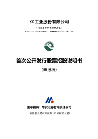 XX工业股份有限公司首次公开发行股票招股说明书( 256)