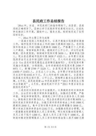县民政工作总结报告