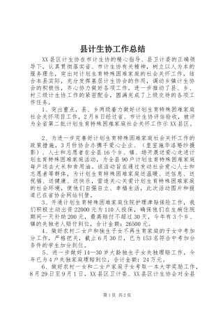 县计生协工作总结