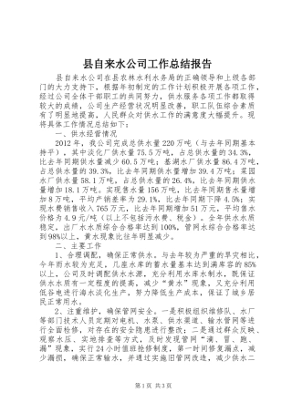 县自来水公司工作总结报告