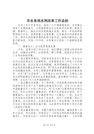 市水务局水利改革工作总结