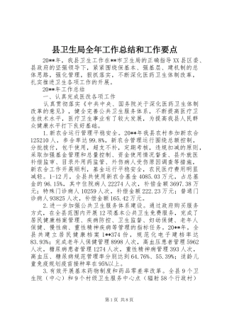 县卫生局全年工作总结和工作要点