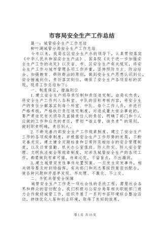 市容局安全生产工作总结