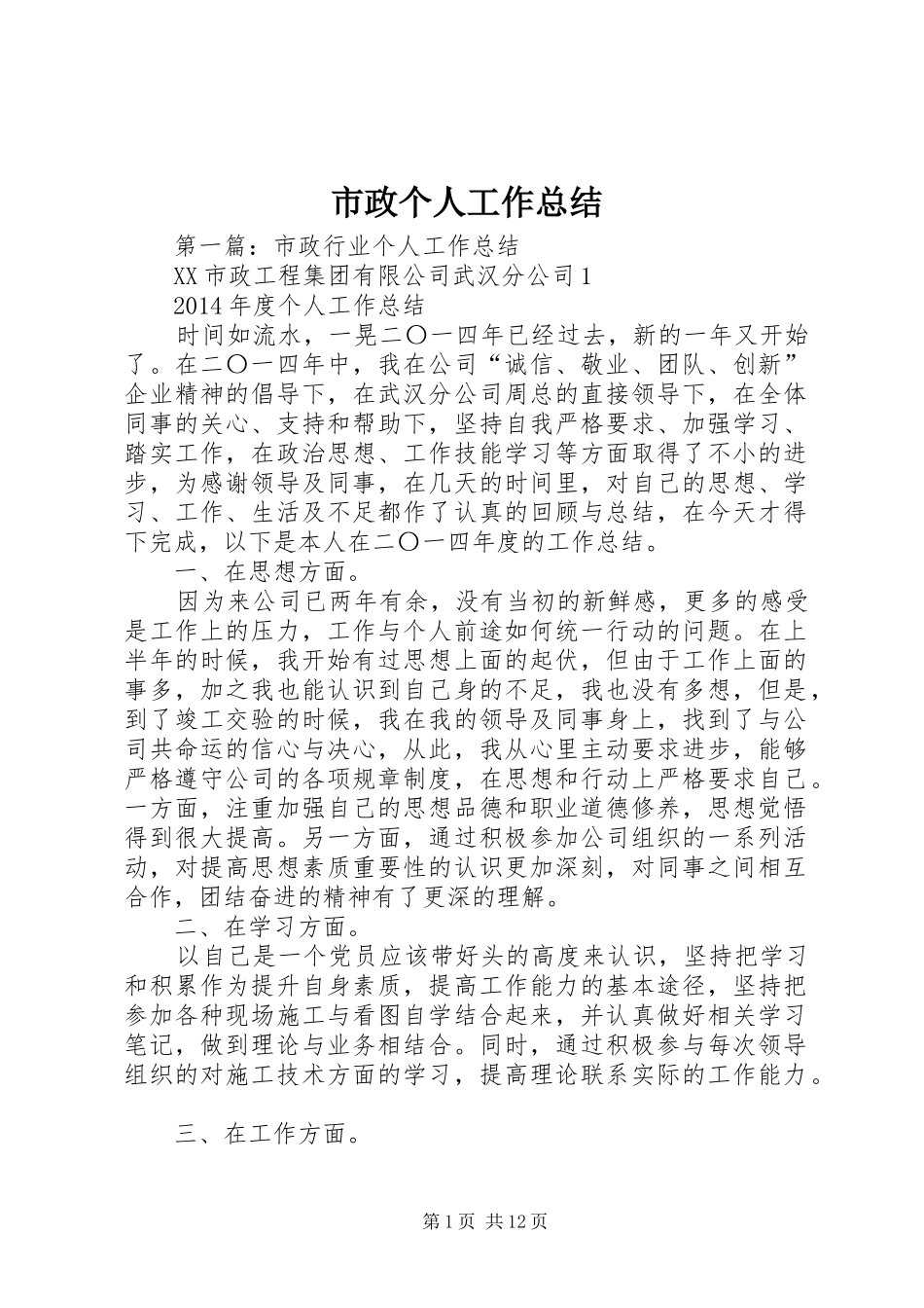 市政个人工作总结_第1页