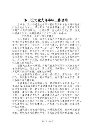 双山公司党支部半年工作总结