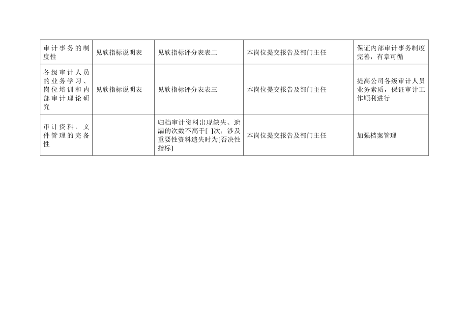 二滩水电开发公司总经理工作部内部审计绩效指标_第2页