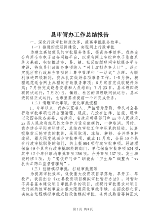 县审管办工作总结报告