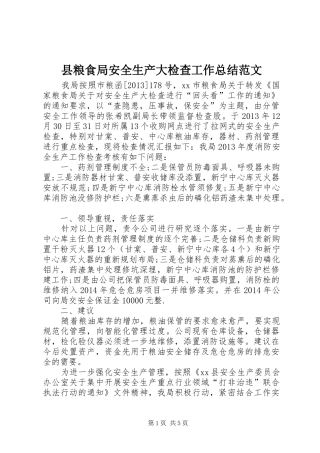县粮食局安全生产大检查工作总结范文