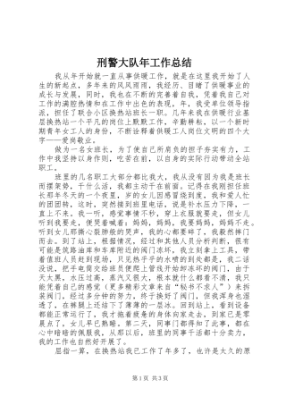 刑警大队年工作总结