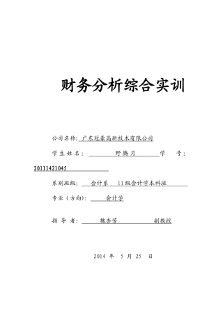 广东冠豪财务分析报告