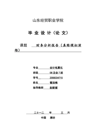 财务分析报告 管洪梅