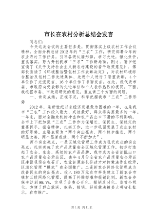市长在农村分析总结会发言