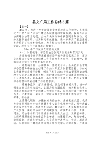 县文广局工作总结5篇