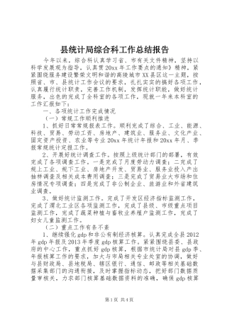县统计局综合科工作总结报告