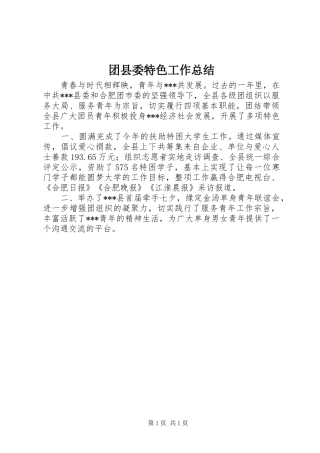团县委特色工作总结