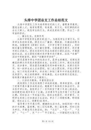 头排中学团总支工作总结范文