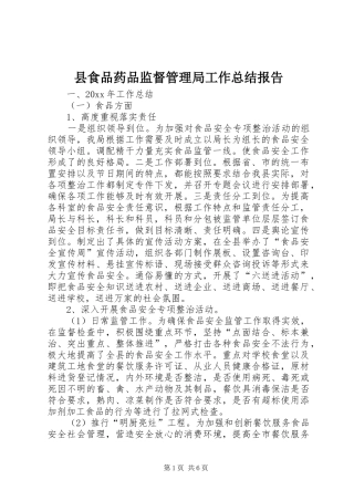 县食品药品监督管理局工作总结报告