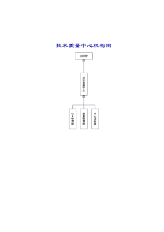XX公司技术质量管理体系（DOC 147页）