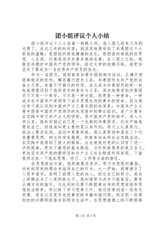团小组评议个人小结