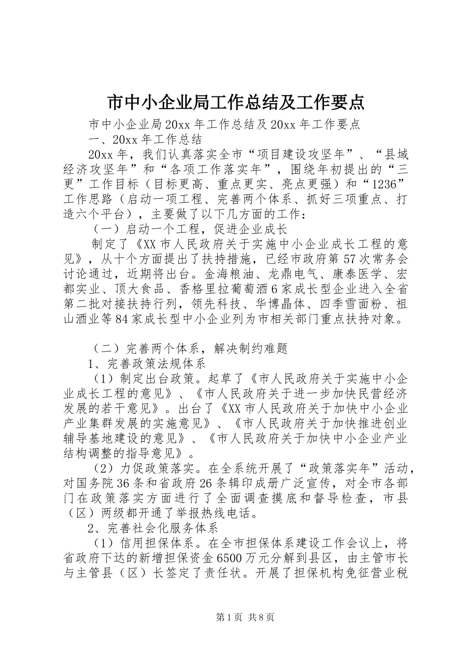 市中小企业局工作总结及工作要点_第1页