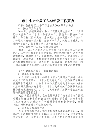 市中小企业局工作总结及工作要点