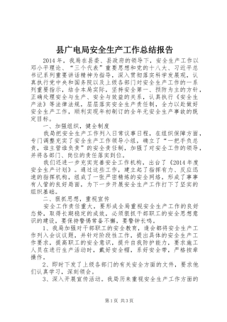 县广电局安全生产工作总结报告