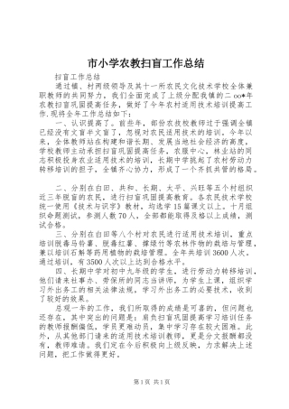 市小学农教扫盲工作总结