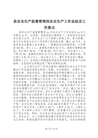 县安全生产监督管理局安全生产工作总结及工作要点