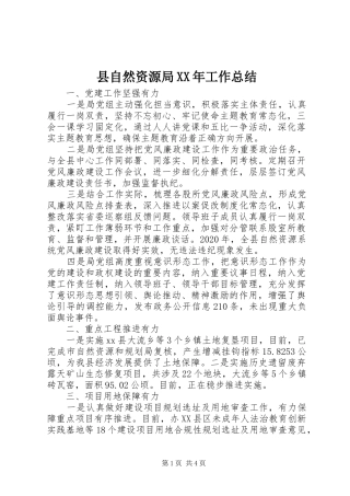 县自然资源局XX年工作总结