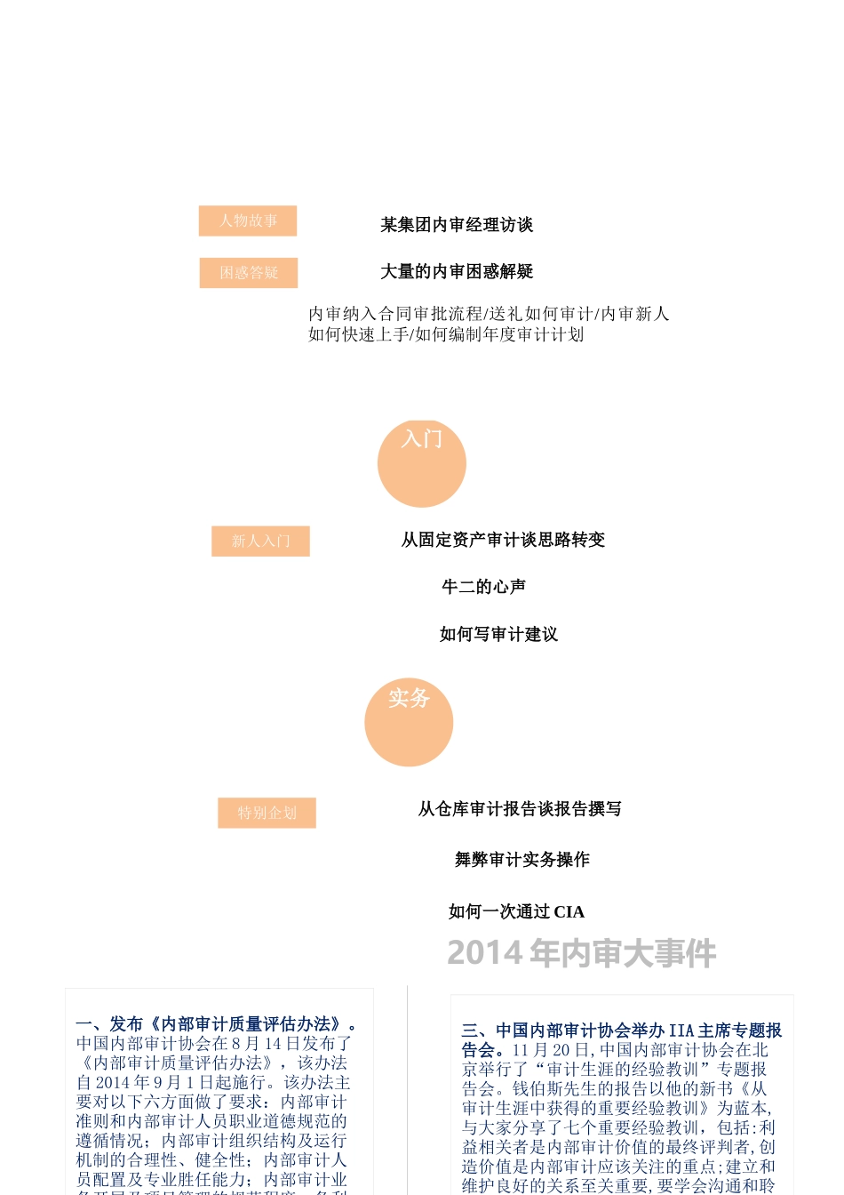 XXXX年1月内审实务年刊_第3页