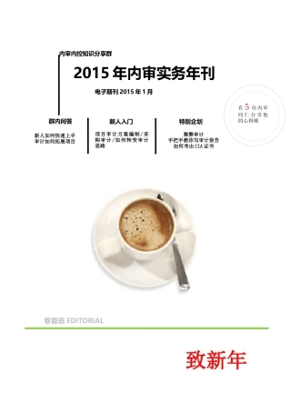 XXXX年1月内审实务年刊