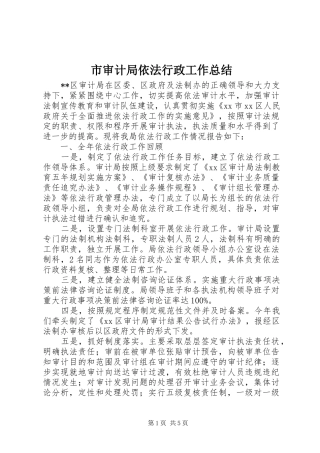 市审计局依法行政工作总结
