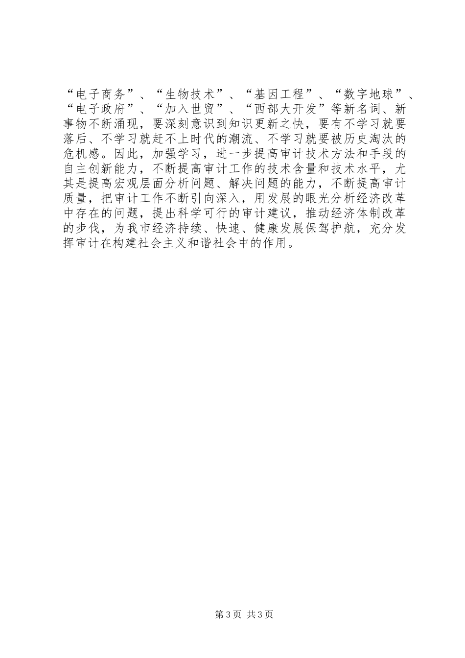 市审计局个人工作总结_第3页
