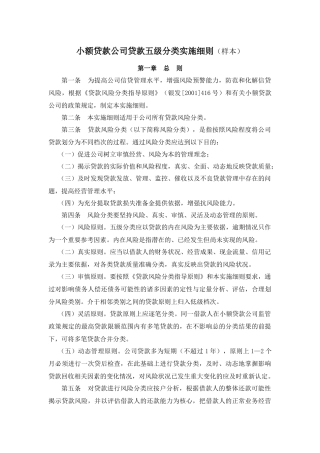 附录六：小额贷款公司贷款五级分类实施细则