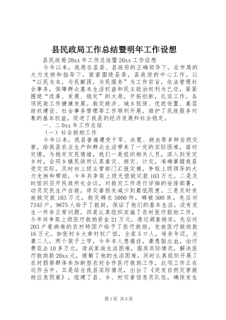 县民政局工作总结暨明年工作设想