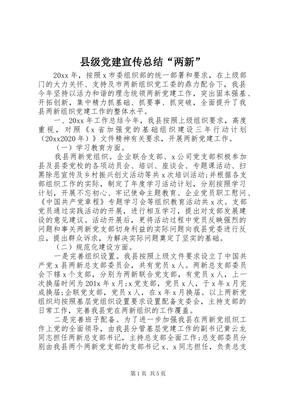 县级党建宣传总结“两新”_第1页