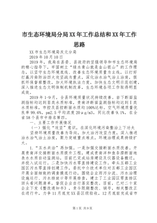 市生态环境局分局XX年工作总结和XX年工作思路