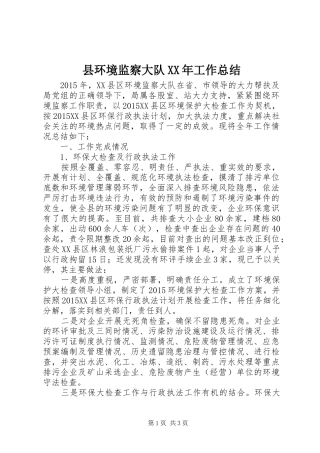 县环境监察大队XX年工作总结