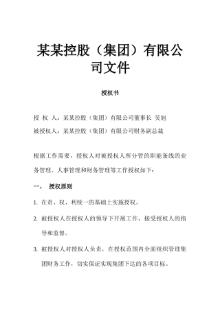 财务副总裁授权书