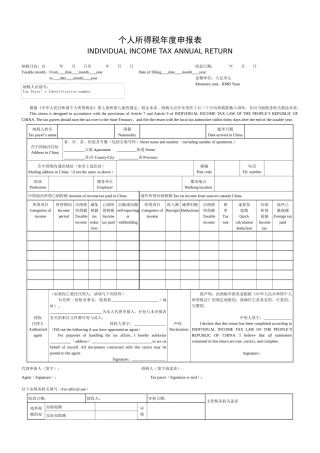 个人所得税年度申报表
