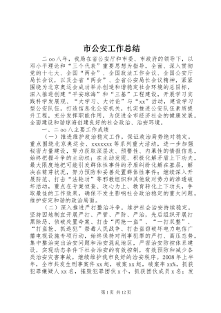 市公安工作总结