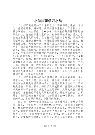 小学挂职学习小结