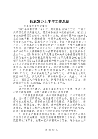 县农发办上半年工作总结