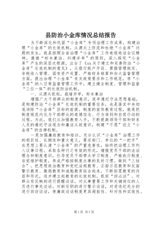县防治小金库情况总结报告