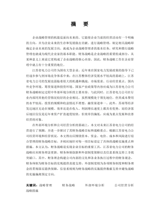 电力公司财务战略报告