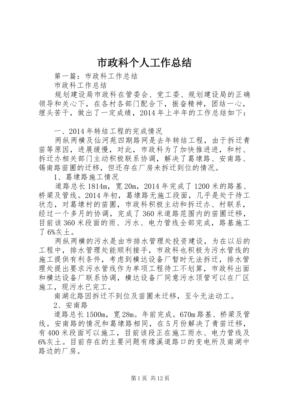 市政科个人工作总结_第1页